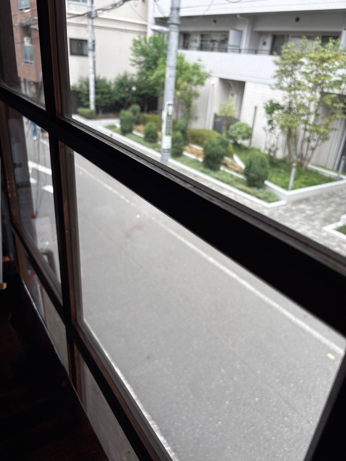 窓からの眺め